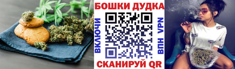 blacksprut   купить наркотики сайты  Новороссийск  Cannafood конопля 