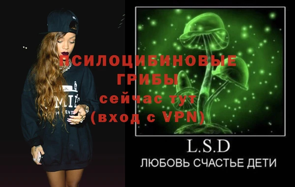 прущие грибы Алексин