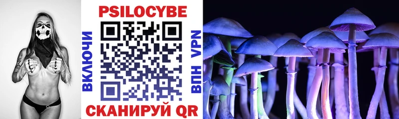 Галлюциногенные грибы GOLDEN TEACHER  Новороссийск 